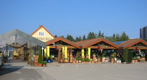 Blumen-Galla-Mayer(c)Anette-Monschein